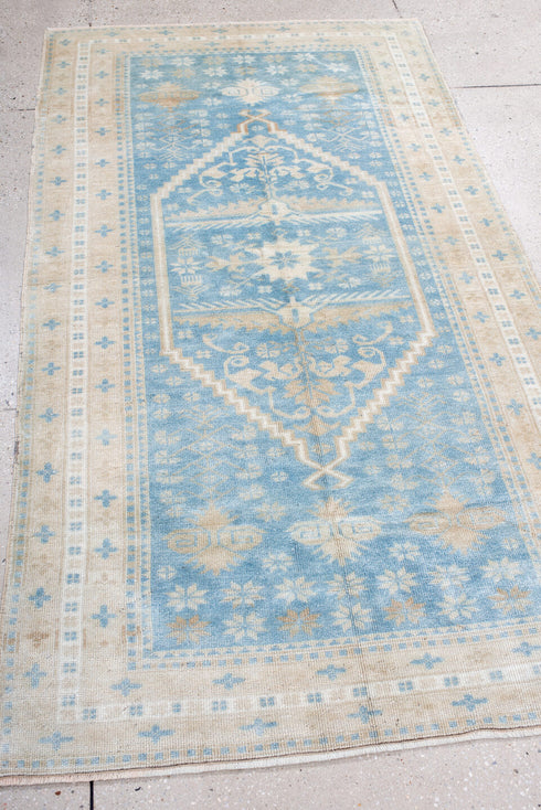 Antique Anatol Runner Rug (3' x 6')